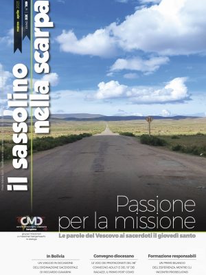 sas 109 cover